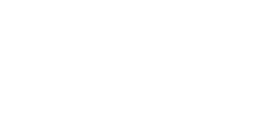 представя
